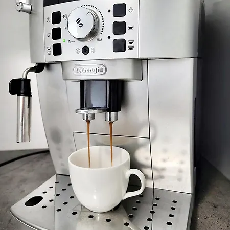 Apartment Rosemarie Zadar